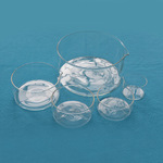 现货具嘴平底结晶皿高硼硅玻璃料结晶皿60/90/100/125/150/180mm
