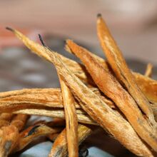 野生红茶滇红茶白茶普洱茶生普熟普云南茶叶品鉴装 山林间古树茶