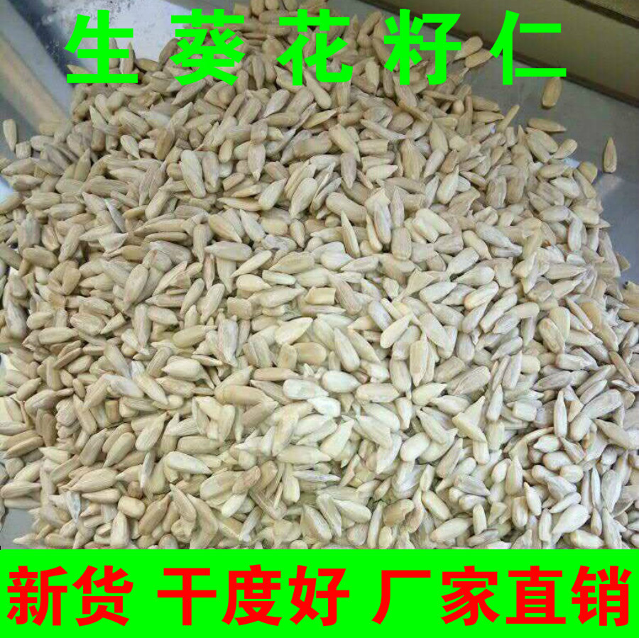 内蒙生葵花子 散装籽仁原味现货批发散榨油食用西生瓜子仁