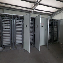 全自动大型孵化设备 大型33792枚孵化机 孵化鸡鸭鹅蛋车式孵化箱