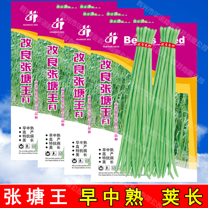 蔬菜种子四季种 浅绿豆角籽架豆 改良张塘王F1豇豆种籽 原装50克