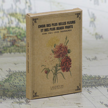 蕾杜德手绘植物插画图谱/怀旧复古牛皮纸美术明信片卡片 24张/套