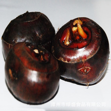 速冻马蹄粒冷冻马蹄整粒（荸荠）IQF water chestnut速冻蔬菜批发