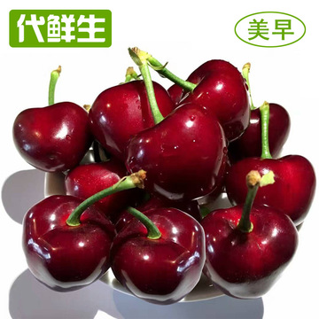 大连樱桃现货,美早樱桃新鲜现摘现发