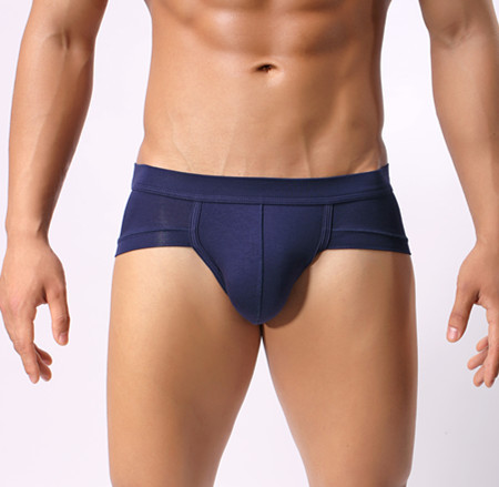 Men's Underwear Briefs U Pouch Low Waist Underpants Foreign Trade Panties Factory Wholesale One Piece Dropshipping