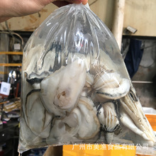 去壳中生蚝肉湛江本地现剥生蚝肉牡蛎生蚝肉鲜活牡蛎去壳500g一袋