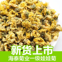 海泰菊业散装批发菊花茶花草茶娃娃菊桐乡杭白菊产地批发源头工厂