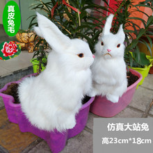 仿真兔子 真皮毛手工动物模型摆件毛绒玩具可爱白兔玩偶公仔 批发