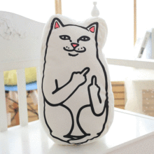 创意恶搞中指猫午睡抱枕毛绒玩具卡3D印刷抽象猫咪靠垫厂家定制