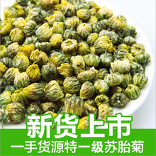 散装杭白菊菊花茶批发 江苏胎菊花批发胎菊花散装花草茶产地货源