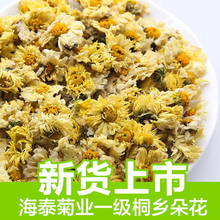 桐乡杭白菊朵花散装500g桐乡菊花茶装菊花茶批发源头厂家产地直销