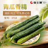 【宝士迪】厂家现货供应青瓜化妆品香精 护肤品香精 编号:3718|ms 【宝士迪】厂家现货供应青瓜化妆品香精 护肤品香精 编号:3718|ms