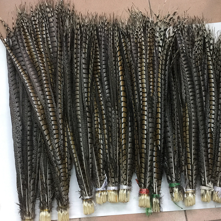 Factory in Stock Supply Copper Chicken Tail Feather Beijing Opera Pheasant Tail Feathers Copper Chicken Side Tail Cover Tail 10-110cm Wild Chicken Feather