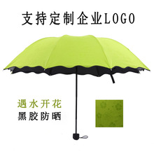 免费印logo遇水开花晴雨伞黑胶防晒防紫外线遮阳伞太阳伞三折叠伞