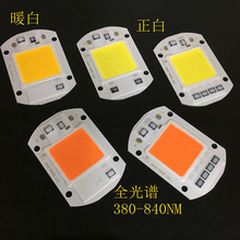 AC220V高压免驱动光源集成灯珠 20W30W50W高光效LED灯珠