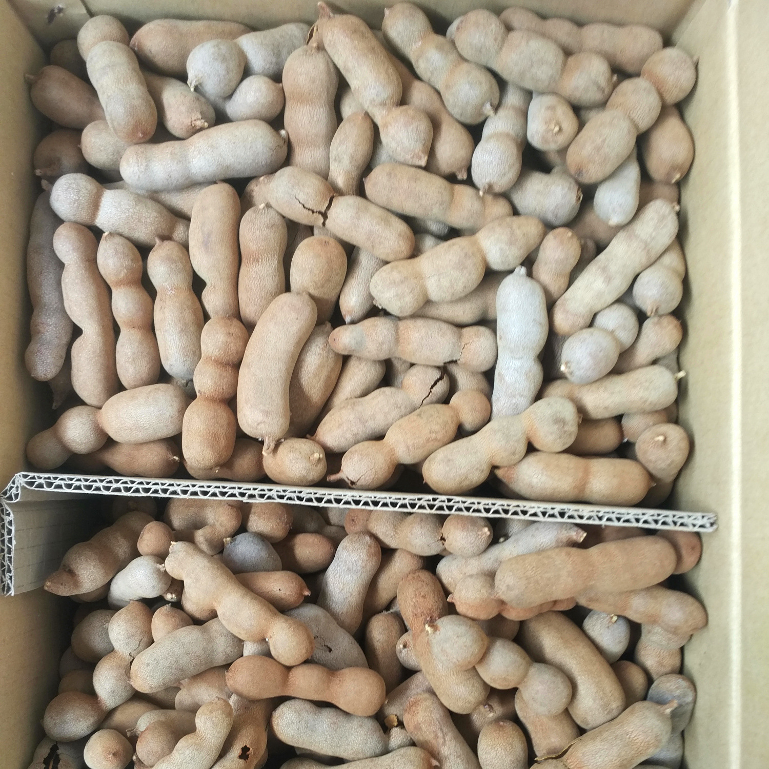 批发云南干果甜角 酸甜小直角 10公斤一件 云南水果-阿里巴巴