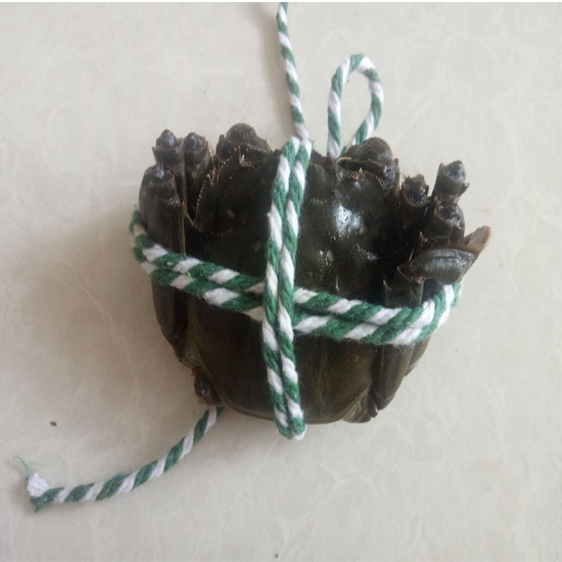 大闸蟹鲜活养殖地批发鲜活螃蟹10只装公3.0两 母2.