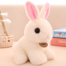 卡通可爱坐姿兔子毛绒玩具创意小白兔玩偶儿童安抚陪睡布娃娃白兔