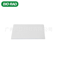 Bio-rad 伯乐 超厚转印滤纸7.5 x10 cm  1703965  60片/包 半干转