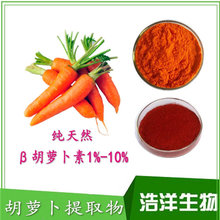 胡萝卜提取物 β-胡萝卜素 10%  果蔬粉 浩洋生物长期供应