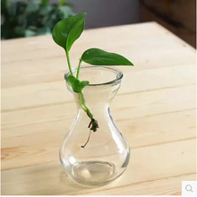 定制批发彩色风信子瓶 水培玻璃花瓶绿萝水仙植物养殖瓶水培容器