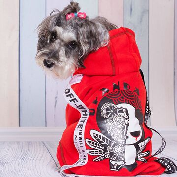 清仓特价冬季宠物衣服大狗狗卫衣泰迪贵宾犬时尚保暖衣服卫衣