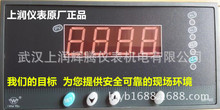 上润仪表WP-C803-01-23-HL智能数字显示控制仪原厂产品WP-C803-02