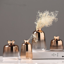 批发 创意水培玻璃花瓶 镀银客厅插花器 摆件一件代发
