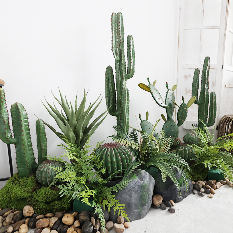 大型无刺量天尺仙人柱盆栽热带沙漠绿植物装饰摆件仿真仙人掌造景