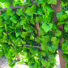 花藤绿叶装饰仿真葡萄叶假树叶植物藤条塑料藤蔓缠绕吊顶假花叶子