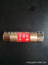 无填料封闭管式熔断器RM10-60A 100A 200A 250V 500V