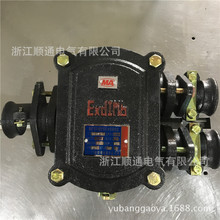 BHD2矿用隔爆型低压电缆接线盒 矿用防爆接线盒BHD2-40A/2T 2通