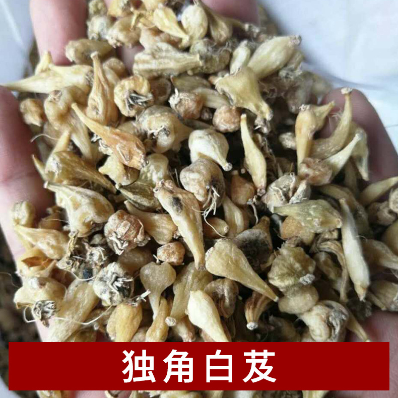 独角白芨 白芨中药材批发 药材种植基地 云南地产药材-阿里巴巴