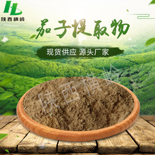 茄子提取物 50:1高比例果蔬茄子提取物  茄子粉原料  横岭供应