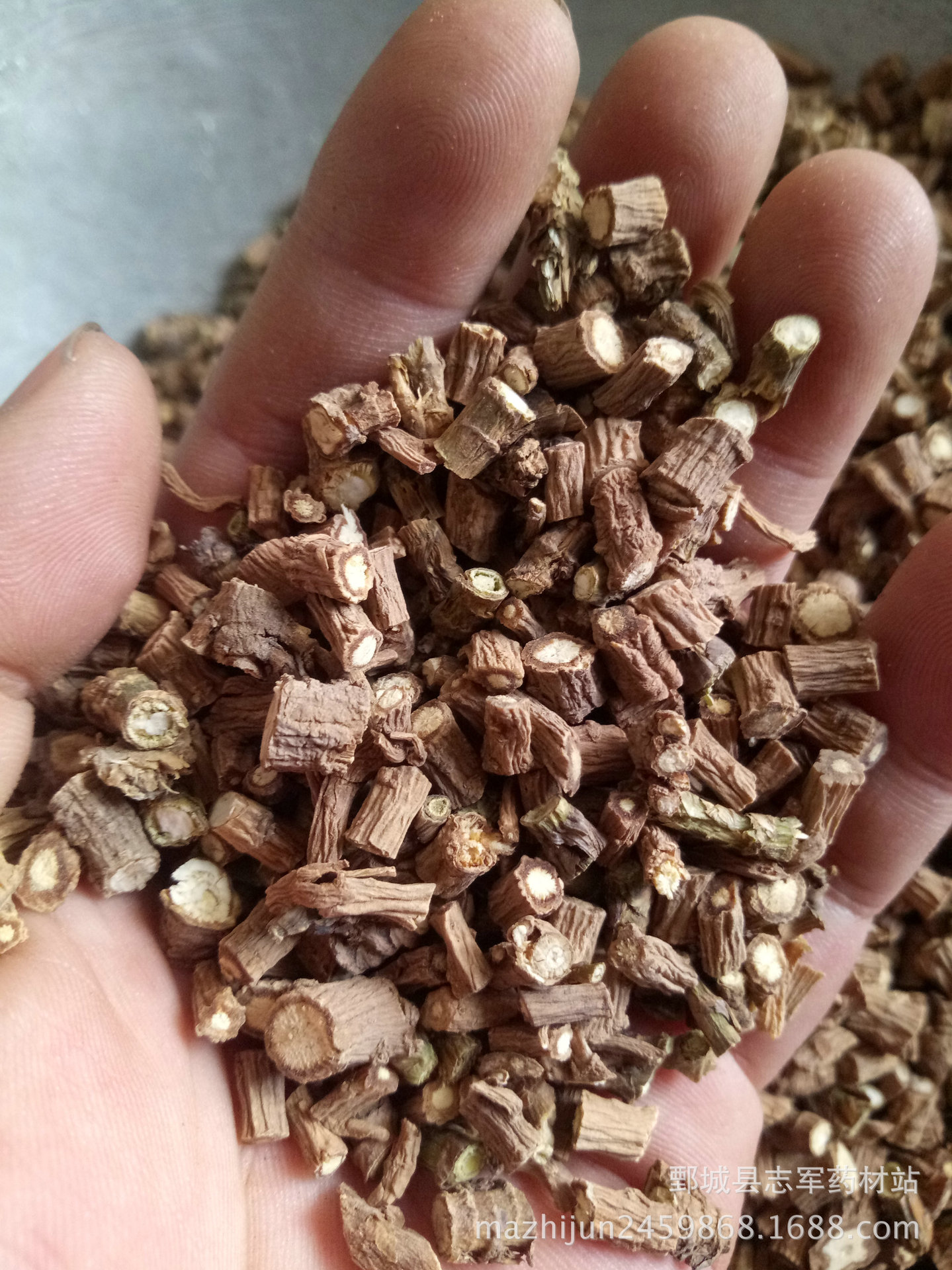 红柴胡 中选货 如图【实拍】甘肃货 1千克起批 欢迎订购