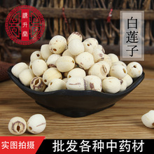 湖南无芯磨皮 手工去芯白莲子不硫散装中药材新货批发500g