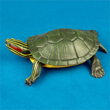外贸仿真模型巴西海龟 实心野生海洋动动物模型儿童玩具收藏摆件