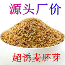 烤麸诱麦胚芽熟小麦胚芽特香片烘炒麦胚基础饵料鱼饵料散装超诱