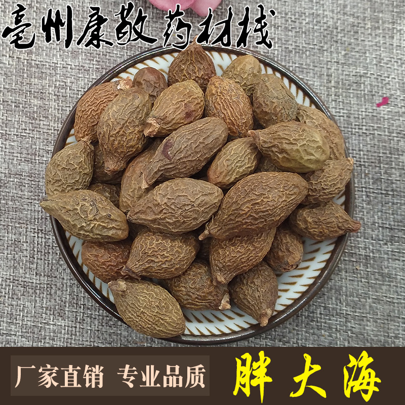 批发新货胖大海花果茶胖大海茶手选货胖大海散装颗粒饱满大货批发