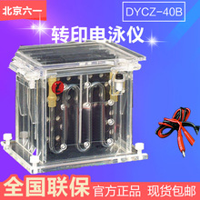 北京六一 DYCZ-40B 转印电泳仪 (中号)