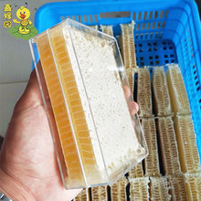 鑫蜂园实力蜂场农家自产休闲食品现货蜂窝蜜500g一盒装荆条蜂巢蜜