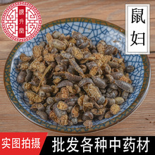 中药材动物原药材鼠妇虫批发优质潮虫 品种齐全产地供应大货