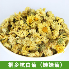 散装批发娃娃菊 菊花茶娃娃菊 正宗桐乡杭白菊花朵 厂家直销产地