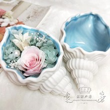 陶瓷海螺贝壳摆件永生花花器桌面首饰饰品收纳盒生日情人节礼物