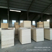 淄博胶合板多层板厂家供货包装胶合板15mm可裁条托盘板木箱用板