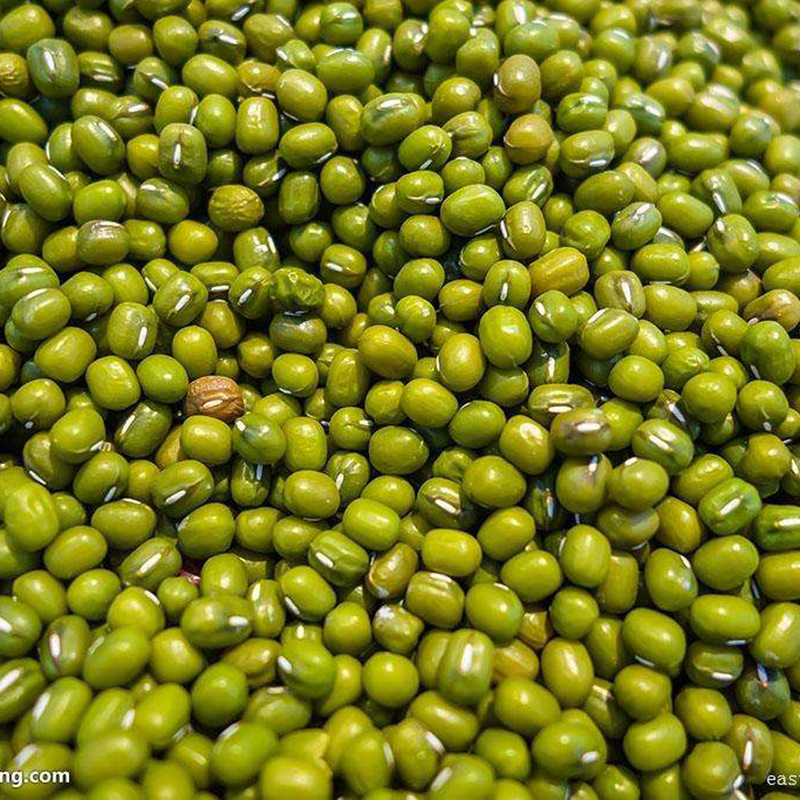 豆芽绿豆产地销售 五谷杂粮脱皮绿豆农家新绿豆-阿里巴巴
