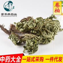 批发现货 卷柏 九死还魂草 复活草 不死草 中药材大全 一站式采购