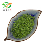 毛尖茶叶批发 雨芽峰信阳毛尖浉河港产地绿茶 茶农自产自销500克