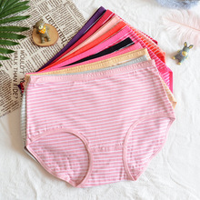 蓝白条纹内裤少女日系胖次棉质三角裤可爱动漫中腰二次元性感软妹