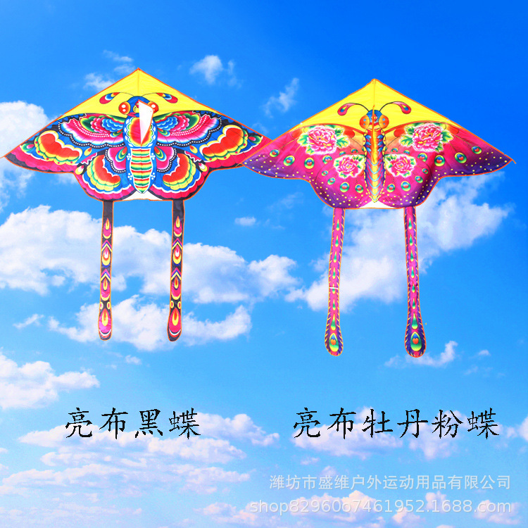 Weifang Kite Wholesale 1.6 M Bright Cloth Butterfly Adult Children Medium Triangle Kite Easy Flying Manufacturer